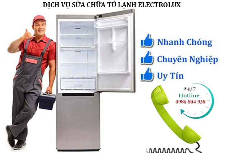 Bao Hanh Tu Lanh Electrolux